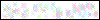 Auth Image